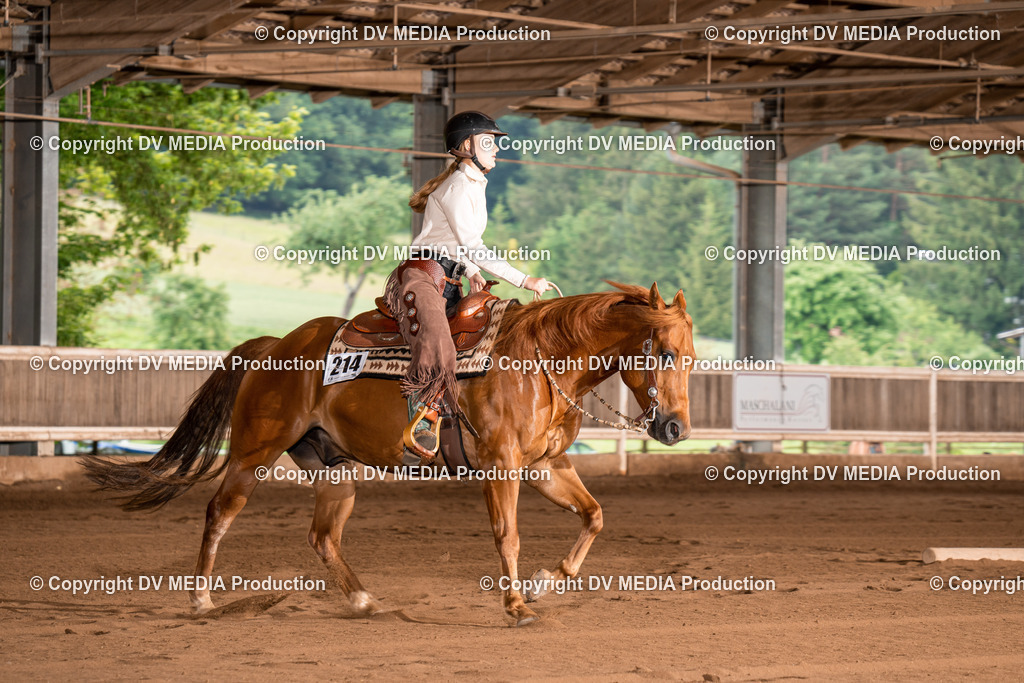 Erbach Tag 4-740 | dv-media-shop - Realisiert mit Pictrs.com