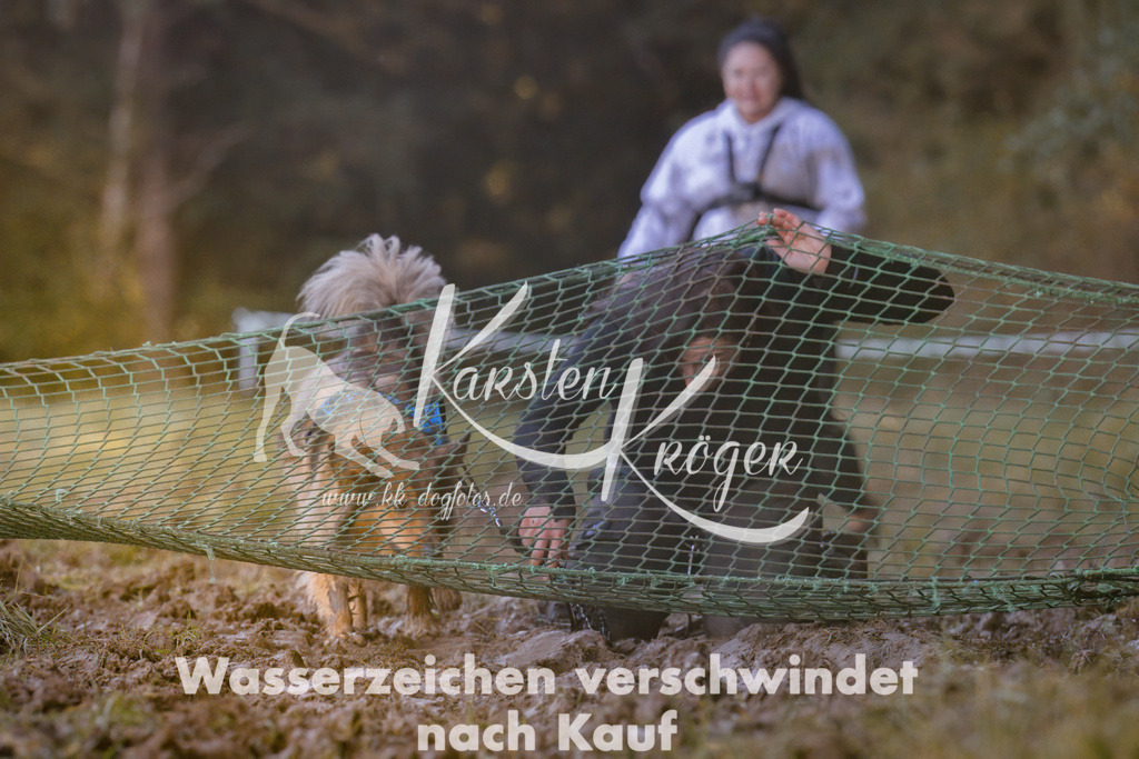 1036_ZZ91656 | kk-dogfotos