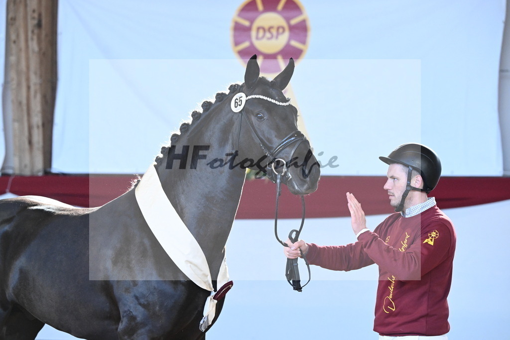 Kat.-Nr. 65 v. Springbank II VH_Reichert_2242867 | hf-fotografie - Realizzato con Pictrs.com