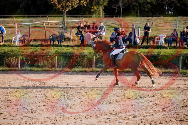 2026_10_03_Siefer-Hof_171156_Z81_08748013 | Professionelle Reitsport-, Turnier- und Eventfotografie von Robert Broda. Galerien mit ausgewählten und bearbeiteten Bildern direkt online ansehen und bestellen.