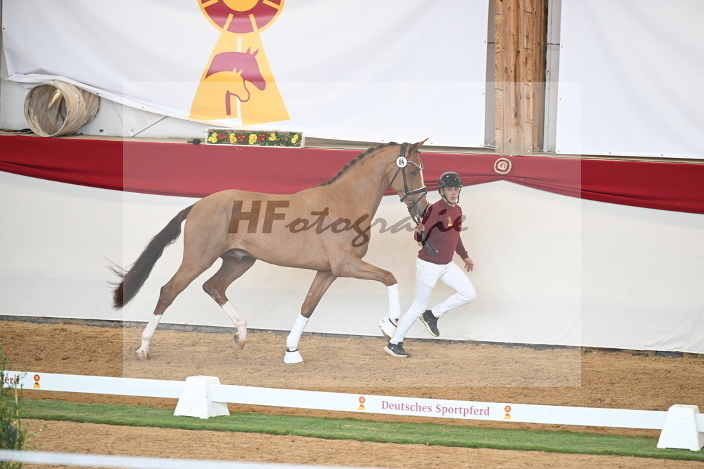 Kat.-Nr. 84 v. Vaderland_van den Oetelaar_2250805 | hf-fotografie - Realisiert mit Pictrs.com