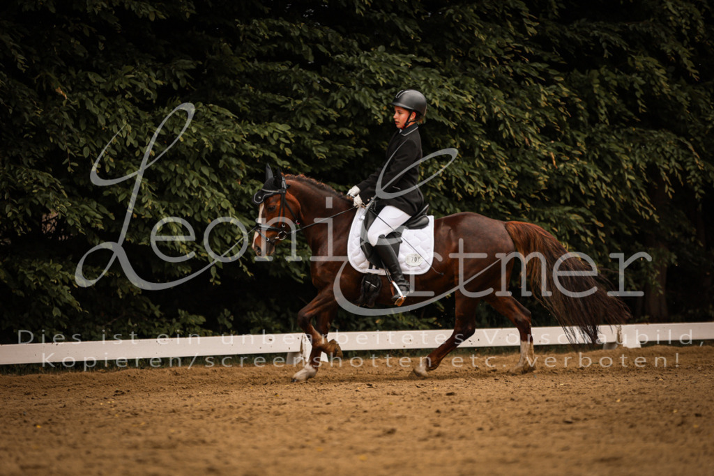 DoDrE00264 | Leoni Ertmer Photography - Realisiert mit Pictrs.com