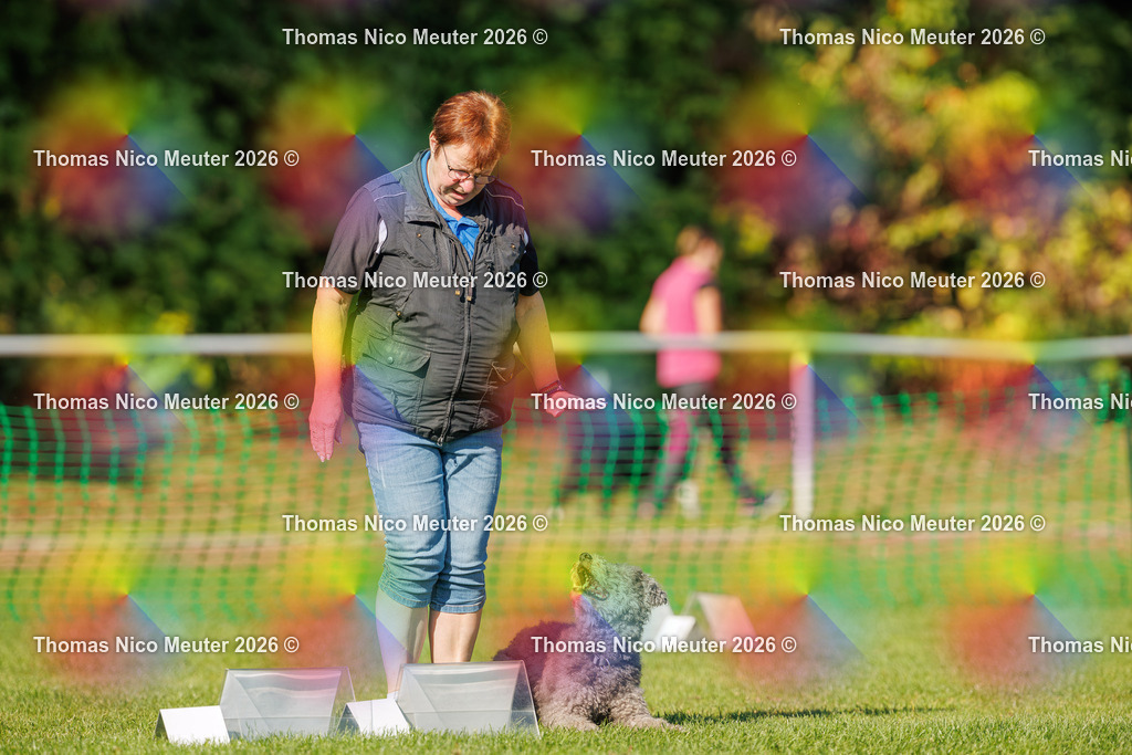 Thomas_Nico_Meuter(C)_04. Oktober 2026_223A2947 | Bild von Thomas Nico Meuter - Realisiert mit Pictrs.com