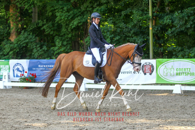 DKP42790 | Turniersportfotografie; Pferdefotografie; Dressurfotografie