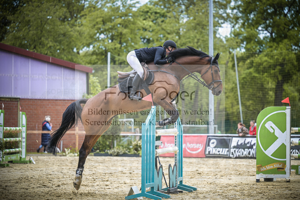 DOS_0273 | Entdecke hochwertige Reitturnierfotos von Foto Oger. Professionell, emotional und authentisch – jetzt Lieblingsmomente im Shop bestellen.Deutschlandweite Turnierfotografie. - Realisiert mit Pictrs.com