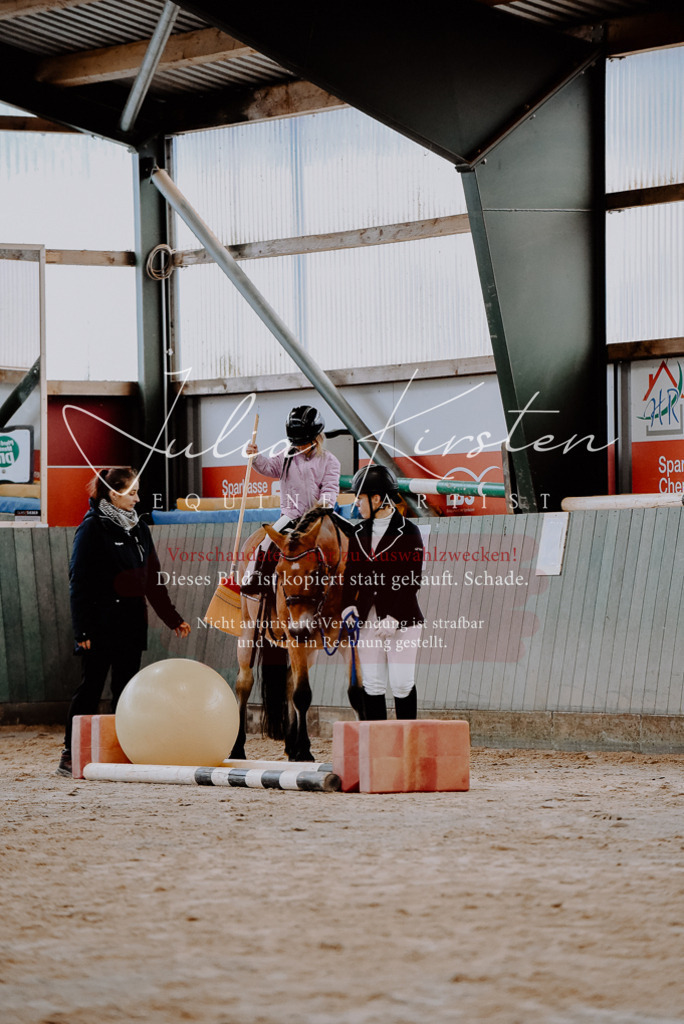 DSC_6630 | Pferde- und Turnierfotografie in Westsachsen. Pferdeportraits, Auftragszeichnungen und intuitive Kunst.