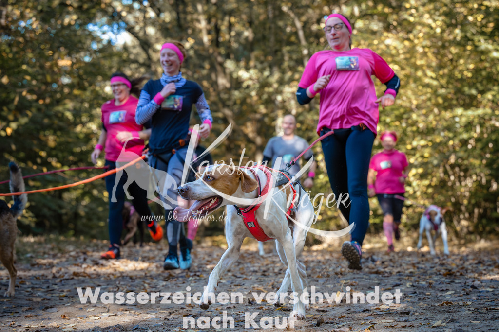 1108_ZZ91719 | kk-dogfotos