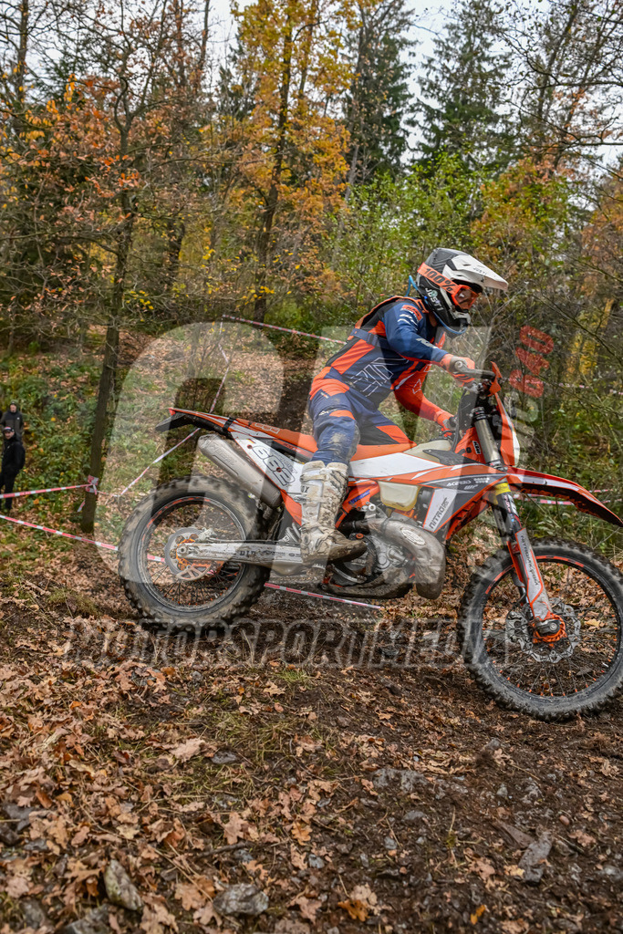 NZ8_7431 | grenznic640