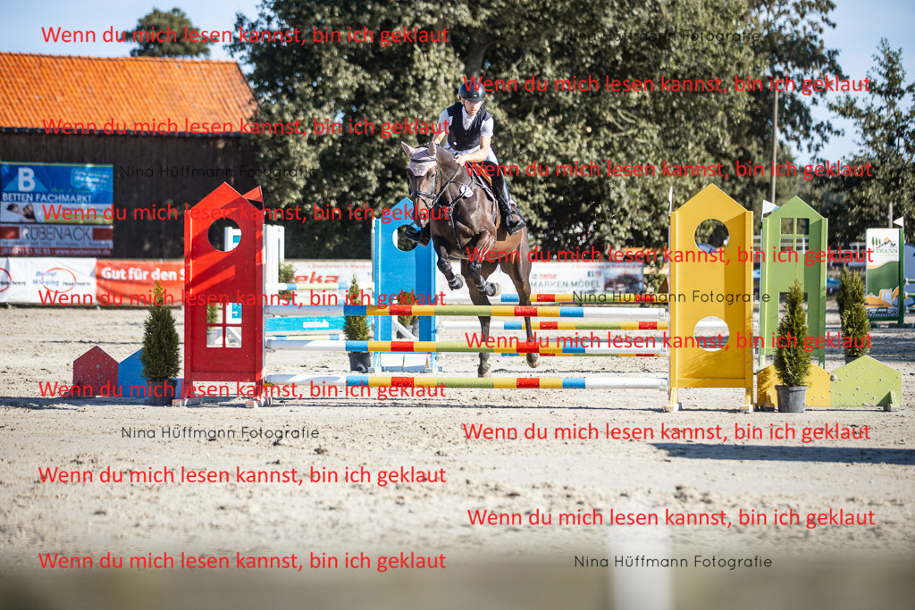 BK1A7480 | Turnierbilder Turnierfotos Nina Hüffmann Turnierfotografie Pferdefotografie Tierzeichnung Haustierzeichnung Pferdezeichnung Hundezeichnung Videograf  - Realisiert mit Pictrs.com