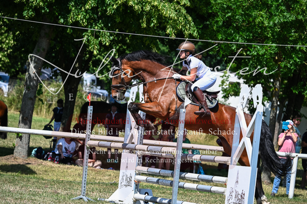 DSC_1202 | Pferde- und Turnierfotografie in Westsachsen. Pferdeportraits, Auftragszeichnungen und intuitive Kunst.