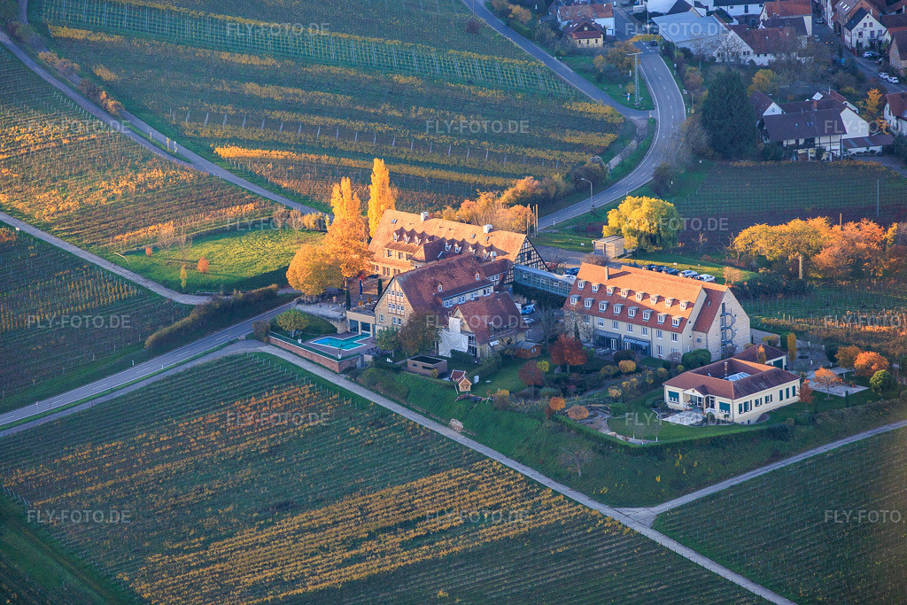 Luftbild: Leinsweilerhof im Herbst in Leinsweiler im Bundesland Rheinland-Pfalz in Deutschland. Foto: IMG_150903.jpg vom 05.11.2025 durch Werner Riehm/FLY-FOTO.de