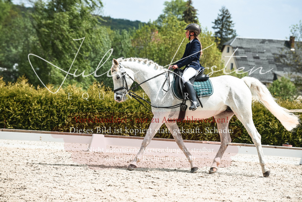 20230518_JK-Röhrsdorf-11-0398 | Pferde- und Turnierfotografie in Westsachsen. Pferdeportraits, Auftragszeichnungen und intuitive Kunst.