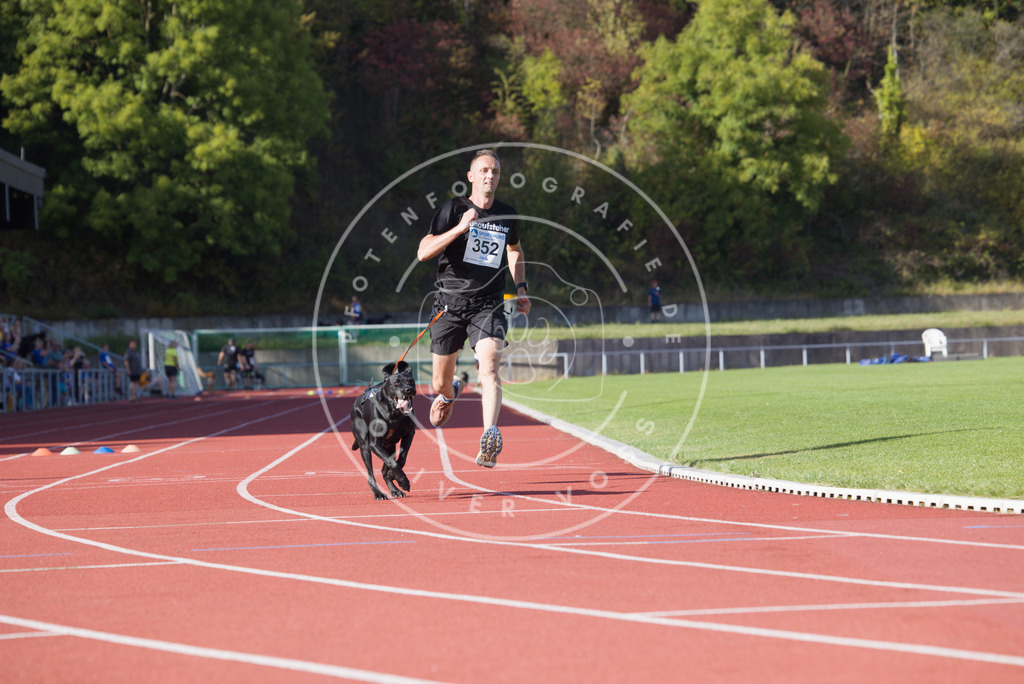 0L8A9920 | Hundefotografie, Tierfotograf, Pfotenfotografie, Fotoshooting Hund, Hunde Portrait, Hundesport, Hundeportraits, Heideshooting, Hunde, Sportfotograf, Hundefotograf, Turnierhundsport, THS,  - Realisiert mit Pictrs.com
