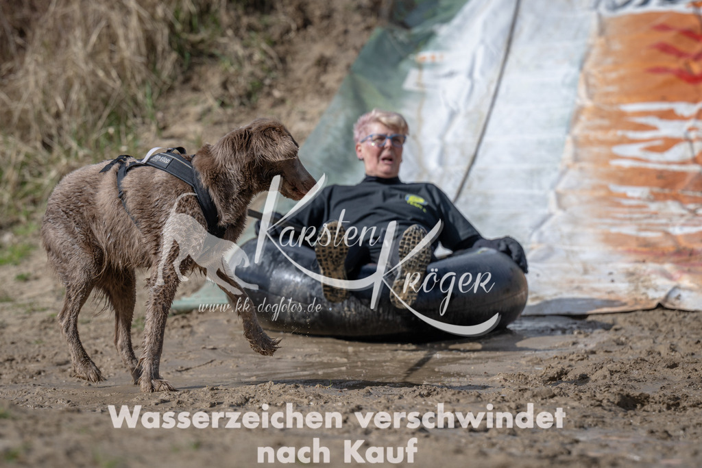 1122_ZZ93313 | kk-dogfotos