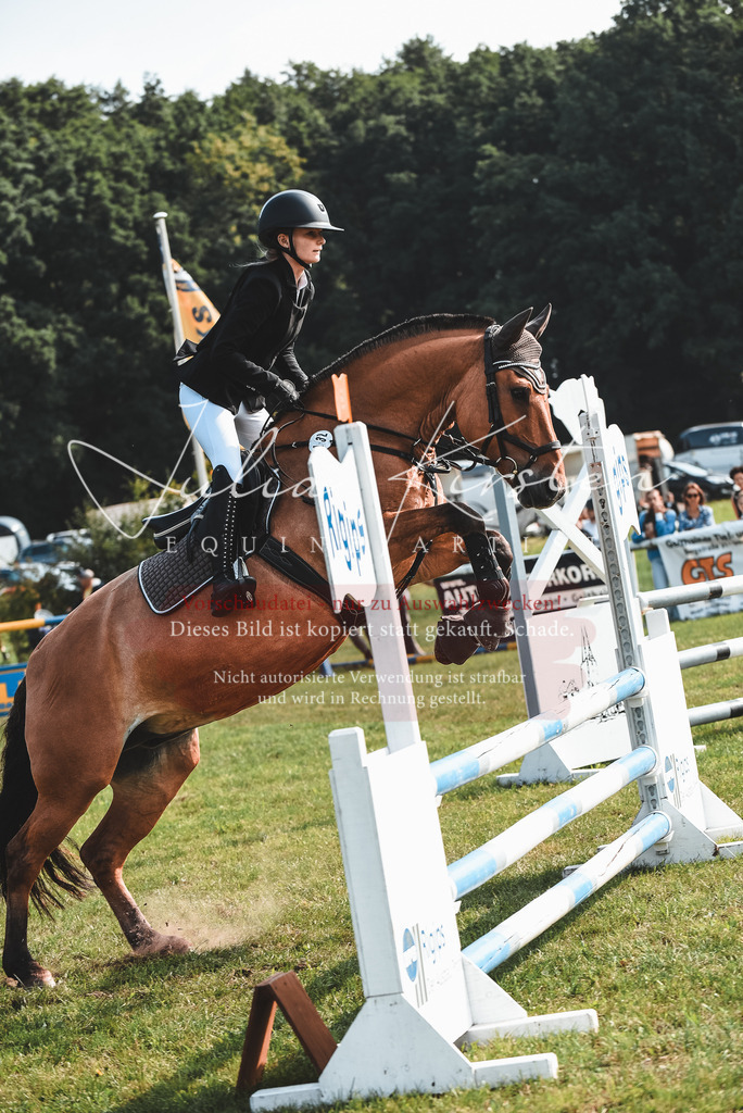 DSC_8859 | Pferde- und Turnierfotografie in Westsachsen. Pferdeportraits, Auftragszeichnungen und intuitive Kunst.