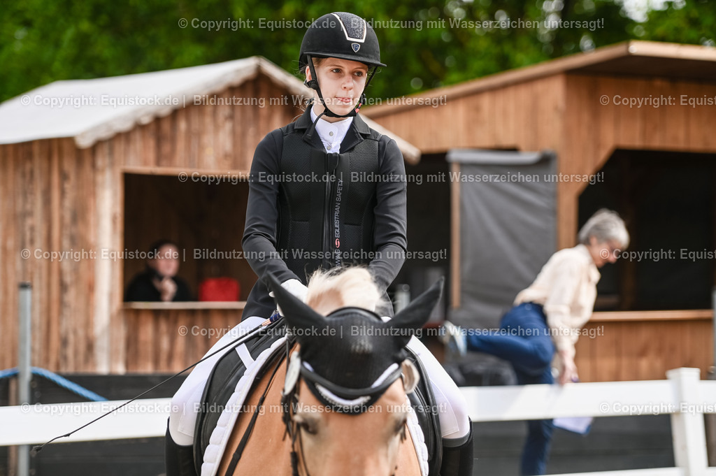 20230716_10-1_Reiter-WB Schritt - Trab - Galopp_0021 | equistock
