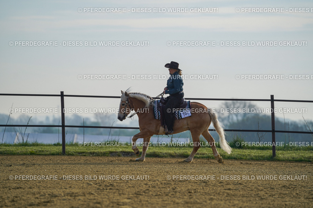 DSC00352 | Pferdegrafie