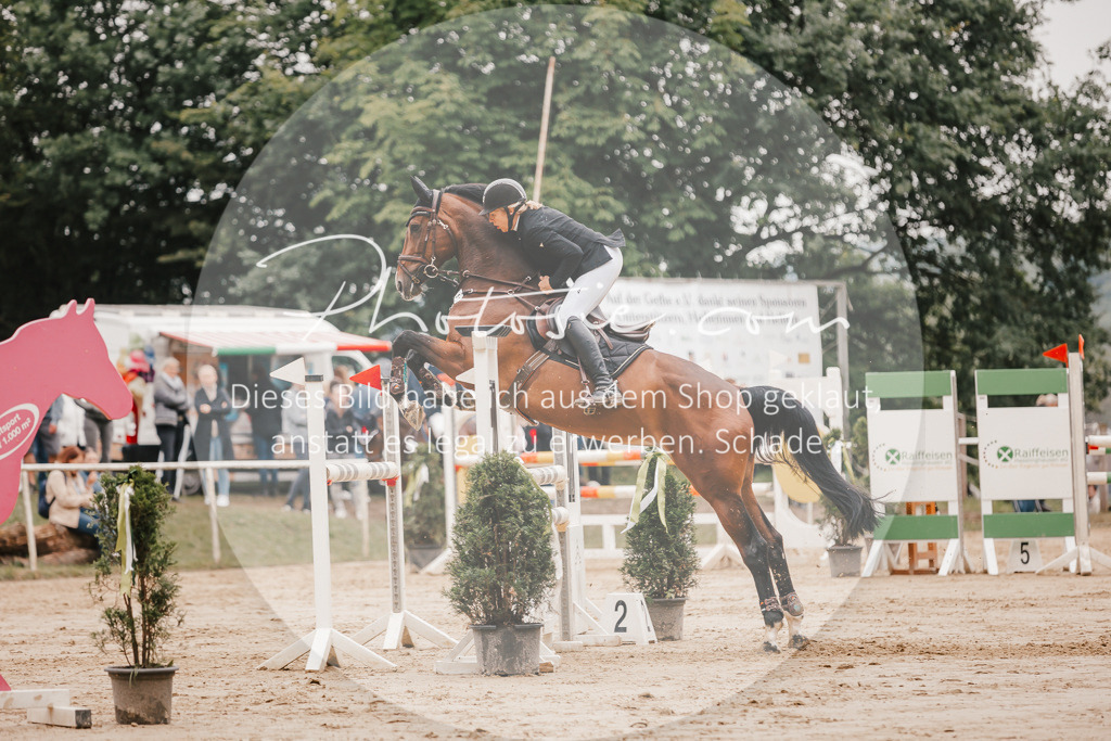 3I6A2227 | Stimmungsvolle Portraits und Reitsportfotografie im Ruhrgebiet und im Münsterland.

Pferdefotografie, Hundefotografie, Tierfotografie, Reportagen, Portraits von Tier und Mensch, Turnierfotografie in Bochum, Recklinghausen, Marl, Haltern am See, Dülmen.. - Realisiert mit Pictrs.com