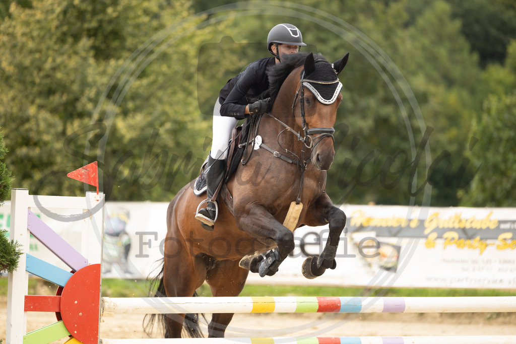 994A9016 | sabrinanicolaifotografie - Realisiert mit Pictrs.com