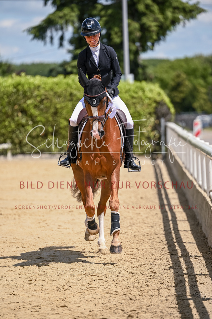 Schugtsche-Aluta25-48.Reitpferfdeprf.-323 | Schugtsche Fotografie - Realisiert mit Pictrs.com