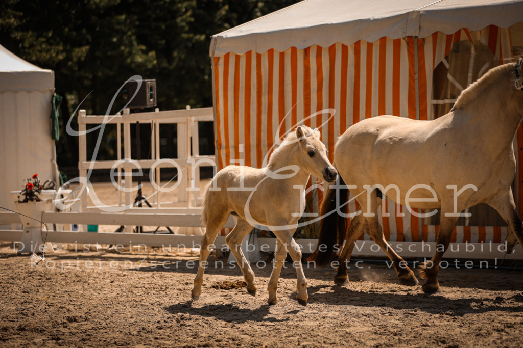 05.DoF00064 | Leoni Ertmer Photography - Realisiert mit Pictrs.com