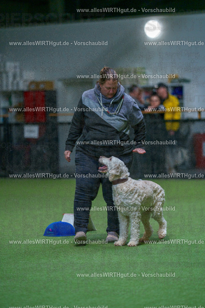 7R502790 | Professionelle Tierfotografie in Mönchengladbach von Daniel Wirth (allesWIRTHgut). Liebevolle & natürliche Bilder von Hunden & Katzen für unvergessliche Erinnerungen.