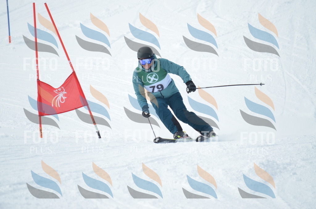 D9339 | holidayphoto