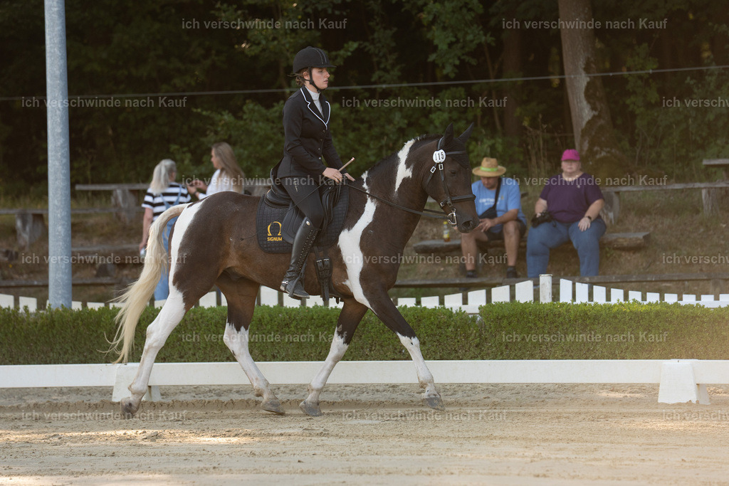 WA_DR_115_SinaFilmArt_IN00111 | working equitationturnier fotograf videograf stoibphotography marixx film working equitation deutschland reitsport turnierfotografie eventfotografie equestrian events