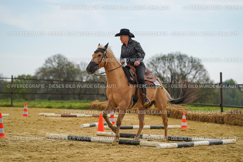 DSC02299 | Pferdegrafie