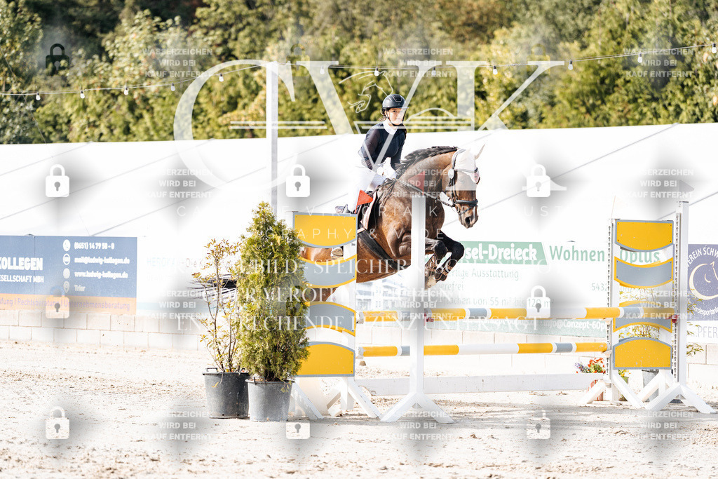 CK905598 | Turnierfotografie Pferdefotografie Trier Rheinland-Pfalz Pferdesport Reitsport Tierfotografie Sportfotografie Pferdevideo Pferdevideografie Equestrianvideography equestrianphotography  - Realisiert mit Pictrs.com
