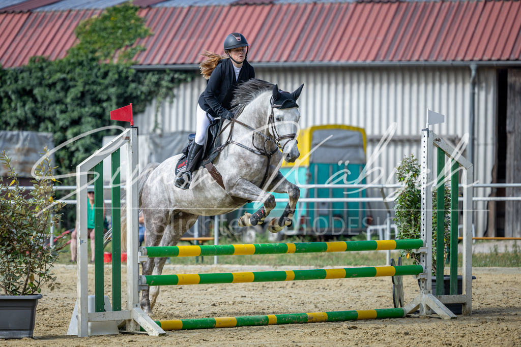 20260704-_3LI7100 | Tierfotografie Pferde, Hunde, Katzen, Haustiere.
Turnierfotografie Reitturniere, Reiten, Springreiten, Dressur in Hanau, dem Main-Kinzig-Kreis und dem Rhein-Main- Gebiet um Frankfurt