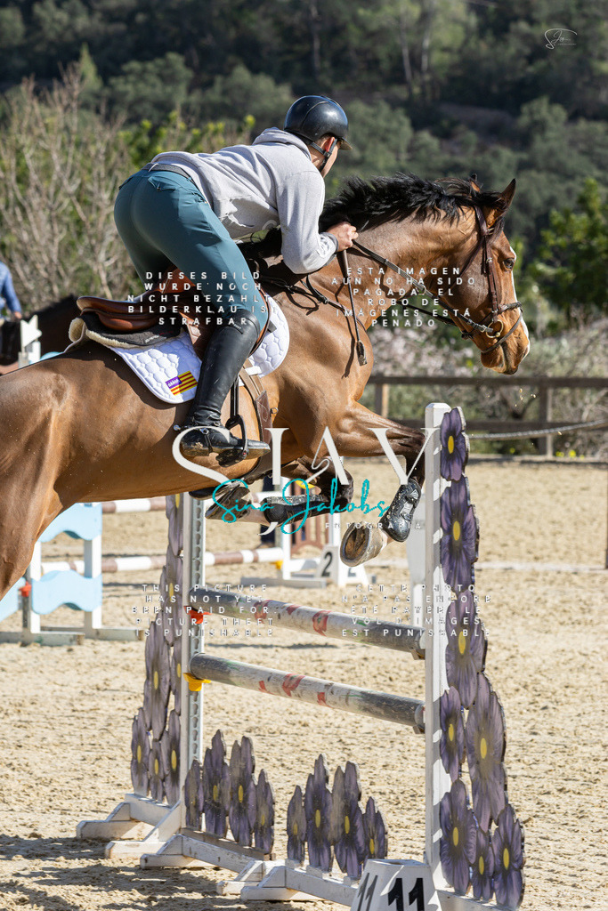 IMG_4185 | s-jay-photography - Realisiert mit Pictrs.com