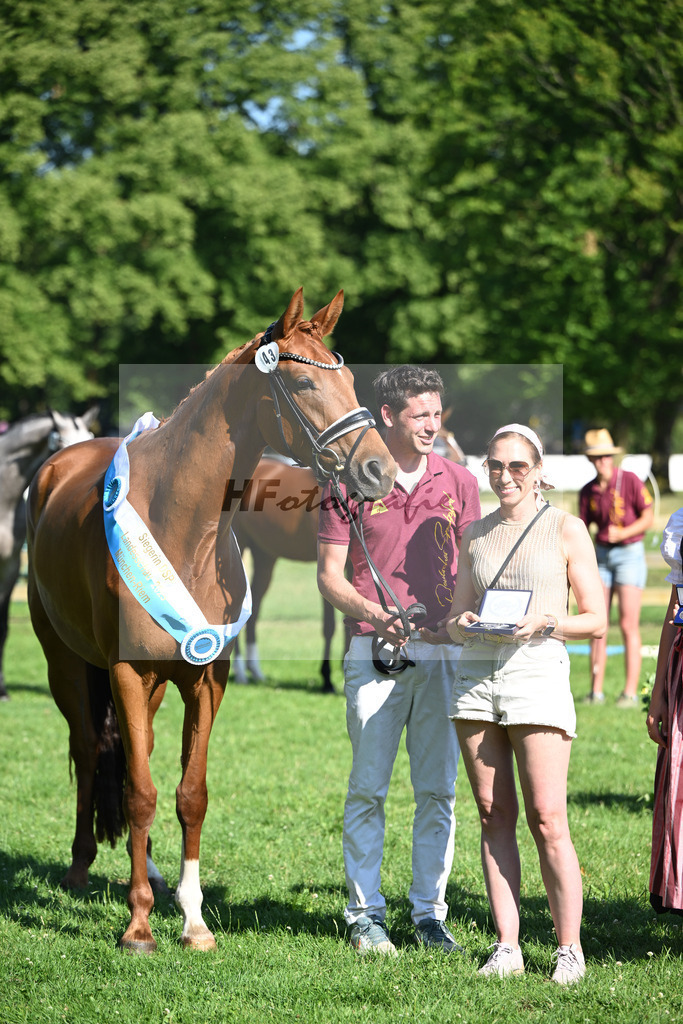 Kat-Nr. 43 Bonjour la Rouge K v. Dynamic Dream_Silvestre_19251361 | hf-fotografie - Realisiert mit Pictrs.com