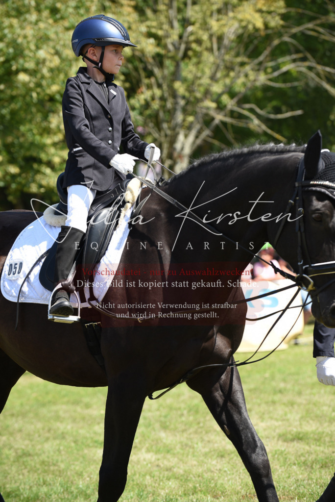 DSC_9773 | Pferde- und Turnierfotografie in Westsachsen. Pferdeportraits, Auftragszeichnungen und intuitive Kunst.