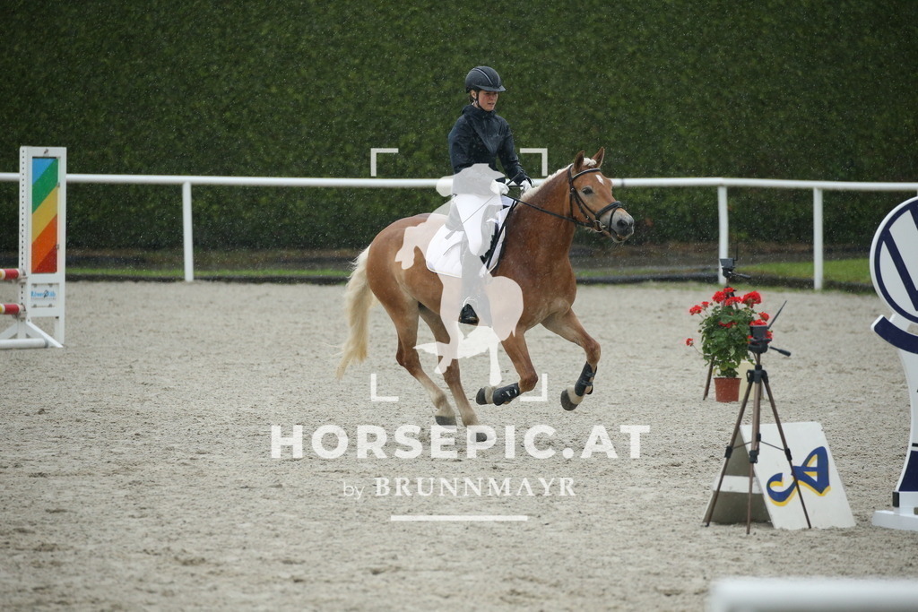 DL2Q0148 | Willkommen bei Brunnmayr - Design & Fotografie – Ihrem Spezialisten für Reitturniere und Pferdeveranstaltungen in Oberösterreich, Salzburg und Bayern! Seit über 17 Jahren sind wir leidenschaftlich dabei.