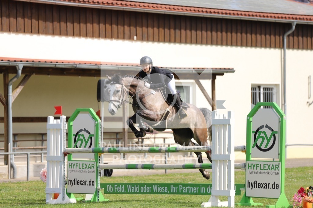 IMG_7112 | Pauline Ullmann Photography - Realisiert mit Pictrs.com