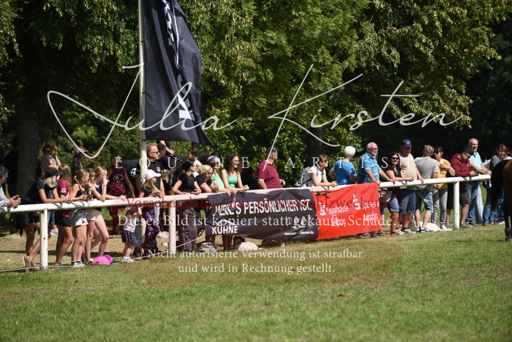 DSC_0272 | Pferde- und Turnierfotografie in Westsachsen. Pferdeportraits, Auftragszeichnungen und intuitive Kunst.