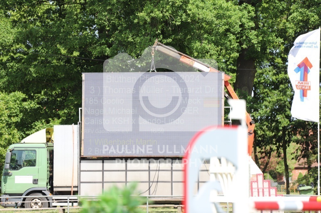 IMG_6475 | Pauline Ullmann Photography - Realisiert mit Pictrs.com