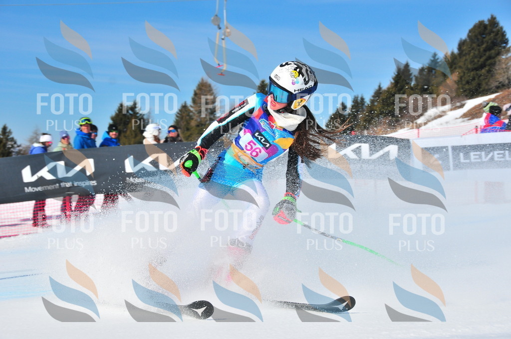 DSC_4153 | holidayphoto