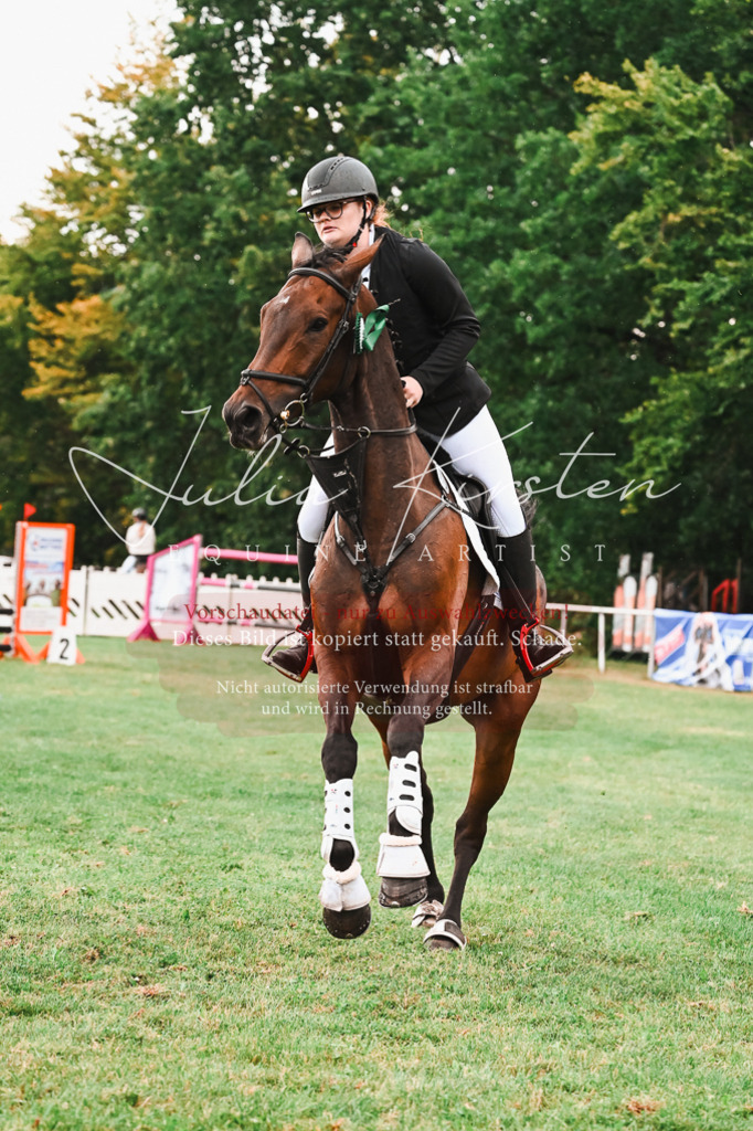DSC_6718 | Pferde- und Turnierfotografie in Westsachsen. Pferdeportraits, Auftragszeichnungen und intuitive Kunst.