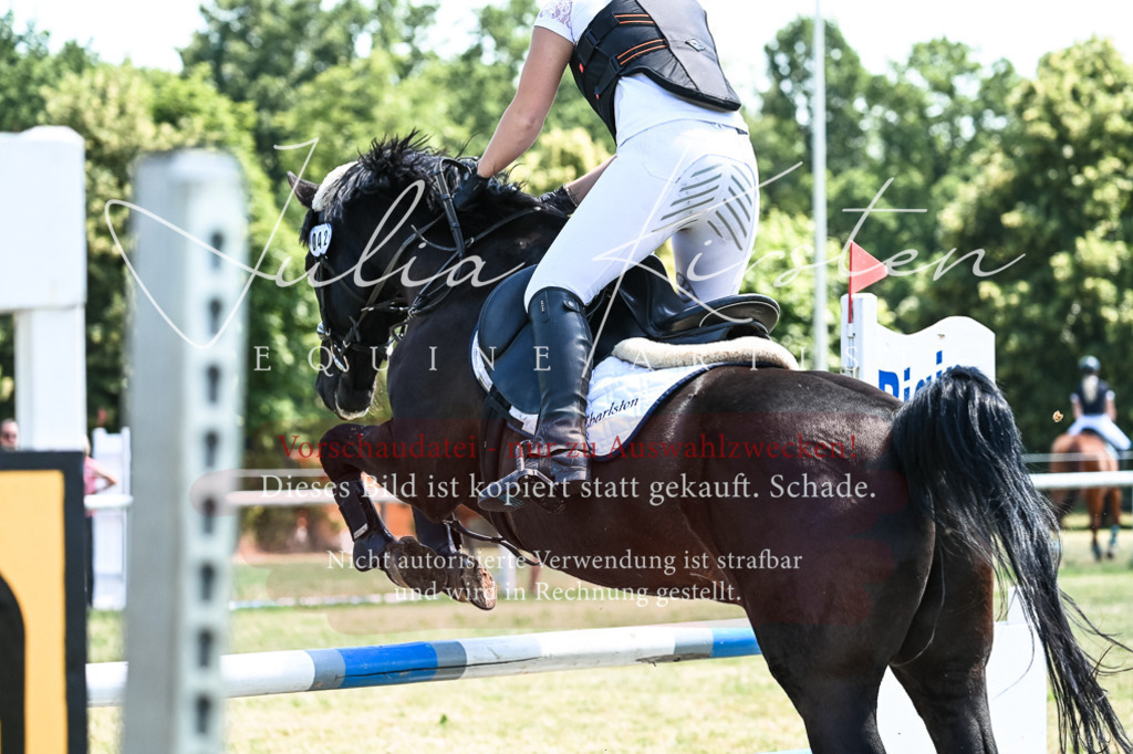 DSC_0424 | Pferde- und Turnierfotografie in Westsachsen. Pferdeportraits, Auftragszeichnungen und intuitive Kunst.