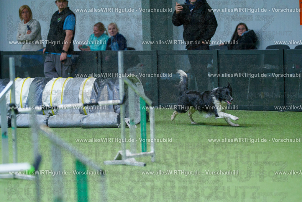 @allesWIRTHgut_Tierfotografie - www.allesWIRTHgut.de - 2604251101-7R500873 | Professionelle Tierfotografie in Mönchengladbach von Daniel Wirth (allesWIRTHgut). Liebevolle & natürliche Bilder von Hunden & Katzen für unvergessliche Erinnerungen.