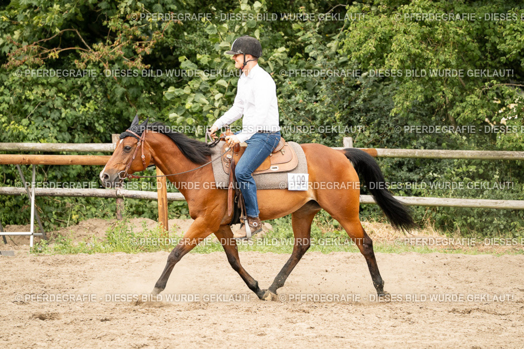 DSC00784 | Pferdegrafie