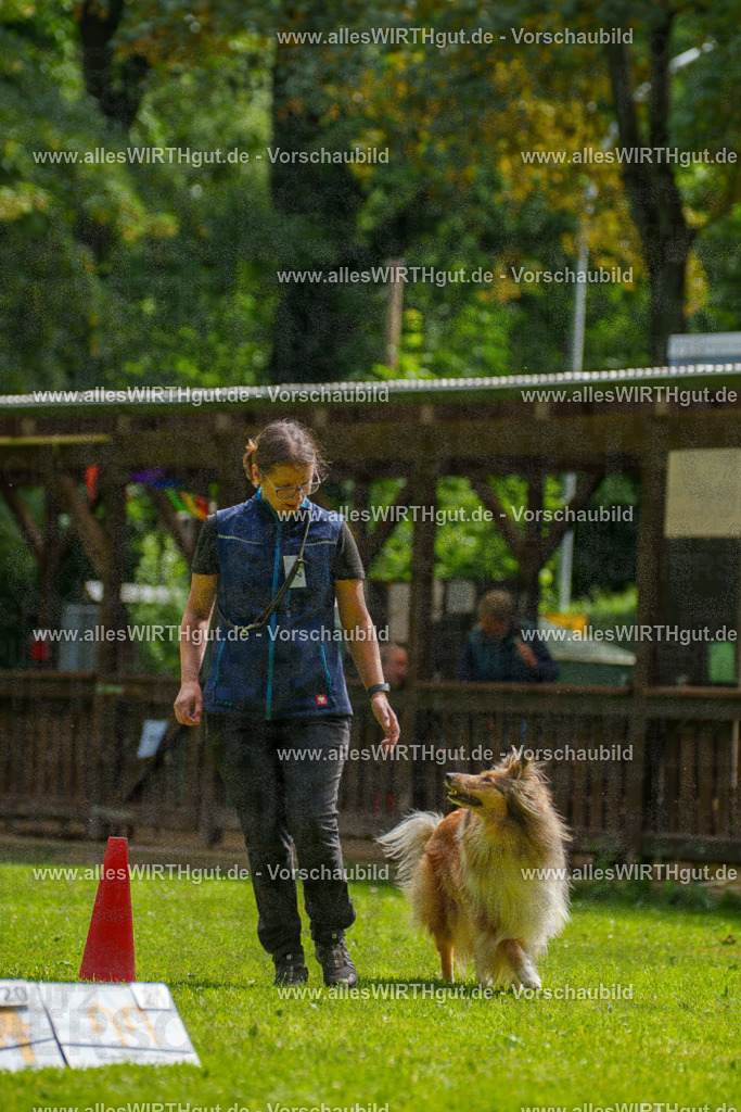 @allesWIRTHgut_Tierfotografie - www.allesWIRTHgut.de - 095544-7R507850 | Professionelle Tierfotografie in Mönchengladbach von Daniel Wirth (allesWIRTHgut). Liebevolle & natürliche Bilder von Hunden & Katzen für unvergessliche Erinnerungen.
