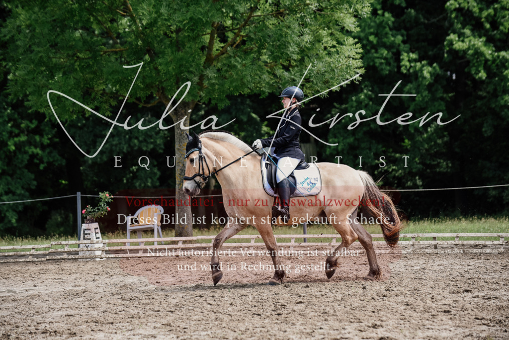 DSC_1641 | Pferde- und Turnierfotografie in Westsachsen. Pferdeportraits, Auftragszeichnungen und intuitive Kunst.