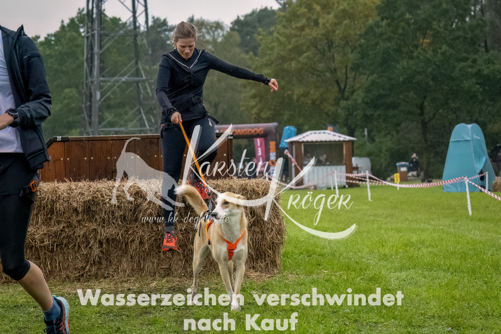 1021--16 | kk-dogfotos