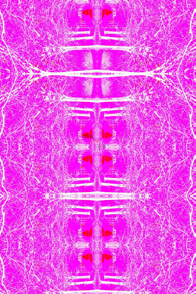 Viele Zweige  | Moderne Digital Art – Exklusive Kunstwerke für dein Zuhause
Entdecke einzigartige Digital Art und verleihe deinen Räumen eine moderne und stilvolle Atmosphäre. Unsere hochwertigen Kunstdrucke kombinieren innovative Technik mit künstlerischer Kreativität und bringen abstrakte, geometrische und futuristische Designs direkt an deine Wand.
✔ Hochauflösende Drucke in brillanten Farben
✔ Exklusive Motive von talentierten Digital Artists
✔ Verschiedene Formate für jeden Raum und Stil
✔ Perfekt als Wandkunst für Wohnzimmer, Büro oder Galerie
Lass dich von unserer modernen, abstrakten und minimalistischen Kunst inspirieren und finde dein neues Lieblingsmotiv! Jetzt bestellen und dein Zuhause mit hochwertiger Digital Art verschönern.
 - Realisiert mit Pictrs.com