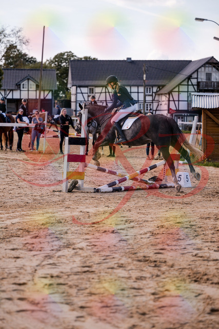2026_10_03_Siefer-Hof_144928_Z81_27444821 | Professionelle Reitsport-, Turnier- und Eventfotografie von Robert Broda. Galerien mit ausgewählten und bearbeiteten Bildern direkt online ansehen und bestellen.