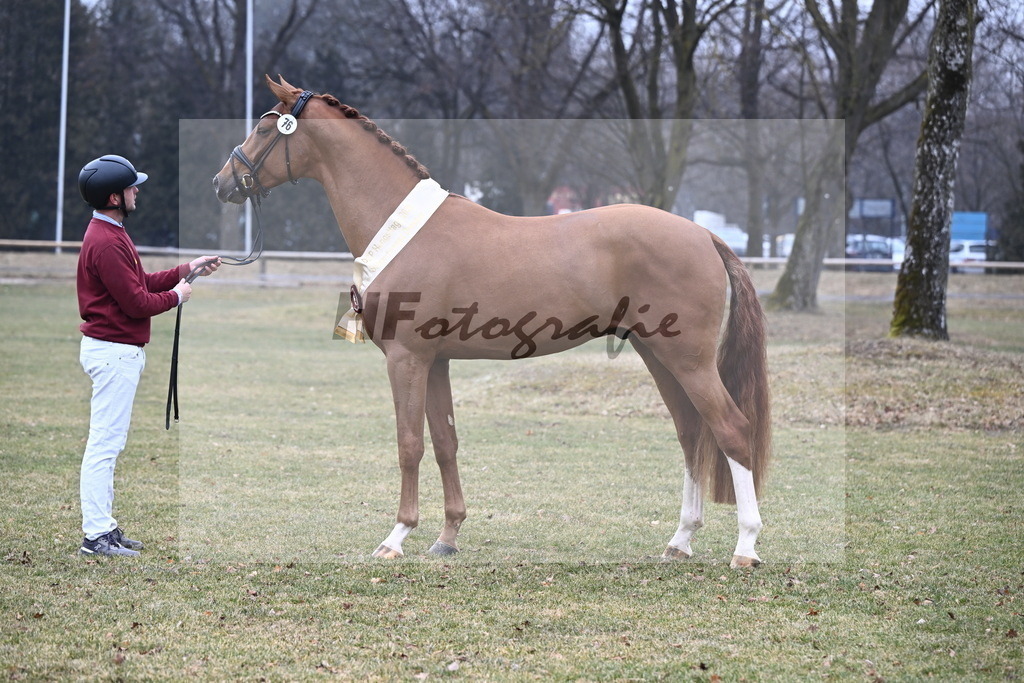 Kat.-Nr. 76 v. Sir Heinrich_Schulze Averdiek_3265789 | hf-fotografie - Realisiert mit Pictrs.com