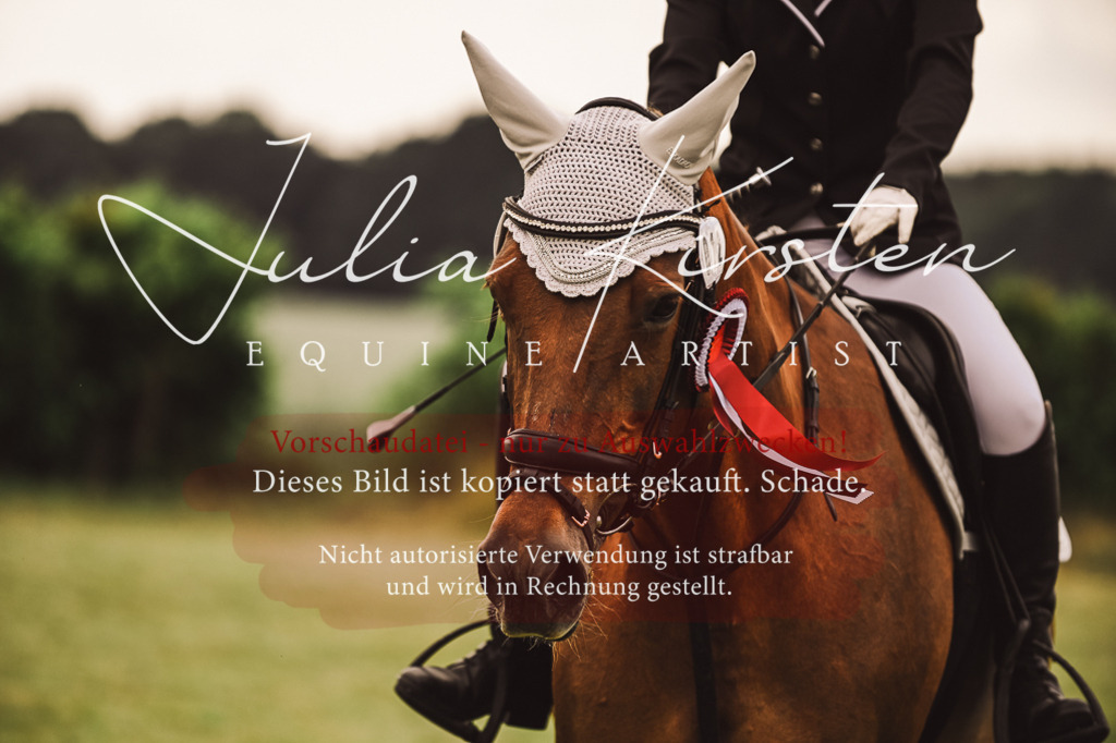 DSC_7014 | Pferde- und Turnierfotografie in Westsachsen. Pferdeportraits, Auftragszeichnungen und intuitive Kunst.